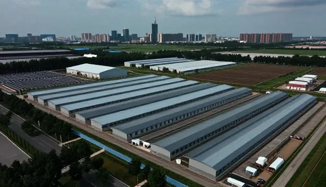管理软件选型中处理方法的现实考量